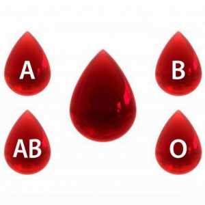 Krvne skupine: shema transfuzije krvi, Rh faktor