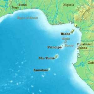 Gvinejski zaljev: opis i mjesto
