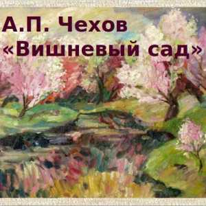 Karakteristično za Ranevskaya. "Cherry Orchard", AP Chekhov
