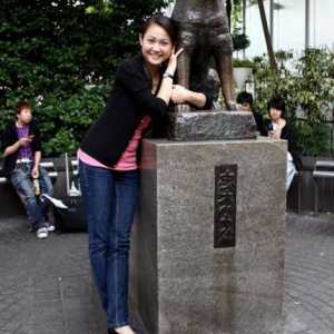 Hachiko: spomenik u Tokiju. Spomenici Hachiko pasa u Japanu
