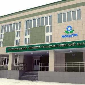 Kemijsko-tehnološki fakultet (Cherepovets): opis