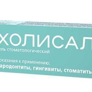`HOLSAL DENAT` - gel za oralnu njegu: upute za uporabu, analozi i recenzije