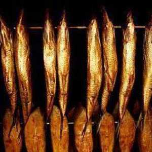 Hladno pušenje ribe: tehnologija, recept. Kakvu ribu je bolje pušiti u pećnici? Sladoled s hladnim…