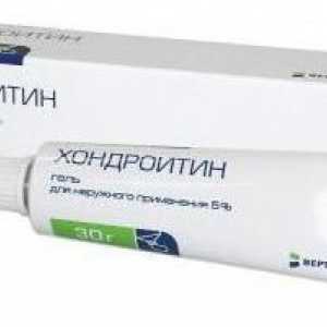 `Chondroitin` (gel): upute za uporabu
