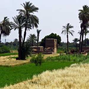 Ekonomska upotreba rijeke Nila: jučer i danas