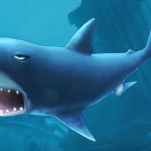 Hungry Shark: Evolution: секреты игры