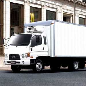 Hyundai HD-65-78 - kamioni za posao