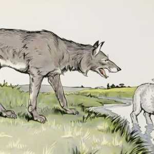 `I vukovi su puni, a ovaca su cjelovita `: etimologija i smisao izreke