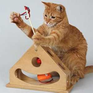 Mačka igračke interaktivne - zabava za kućne ljubimce
