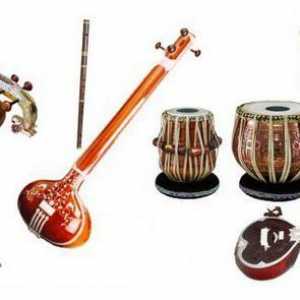 Indijski glazbeni instrumenti: žice, vjetrovi, udaraljke