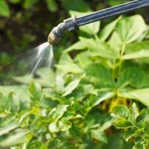 Insekticid Bi-58: upute za uporabu