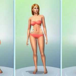Upute: kako promijeniti znak u "The Sims 4"
