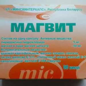 Upute za uporabu "Magvita": opis lijeka, recenzije