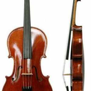 Instrument alto i njegova povijest
