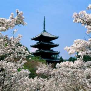 Zanimljive činjenice o Japanu. Suvremeni Japan. Planine Japana