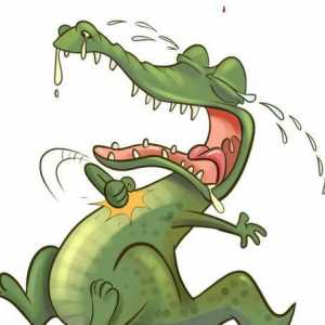 Zanimljive činjenice o životinjama: zašto krokodil plače