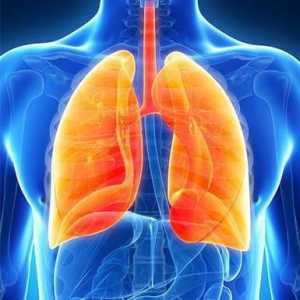 Intersticijska plućna bolest: opis, uzroci, simptomi, dijagnoza, klasifikacija i liječenje