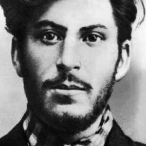 Josip Staljin: biografija, obitelj, citati. Državljanstvo Staljina