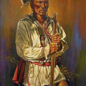 Iroquois - Indijanci Sjeverne Amerike: broj i raspon plemena