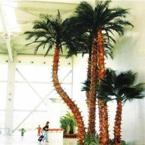 Umjetna palma je južna biljka koja nikad neće nestati