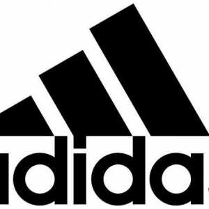 Povijest Adidasa, struktura i aktivnosti tvrtke