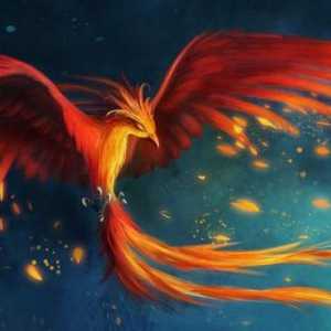 Povijest i objekti konstelacije Phoenix