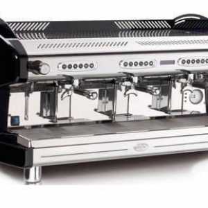 Talijanski profesionalni aparat za kavu za kafiće (mišljenja)