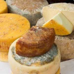 Talijanski sir. Nazivi i obilježja talijanskih sireva