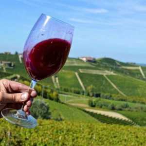 Talijanski crveno suho vino `Barbaresco`: recenzije