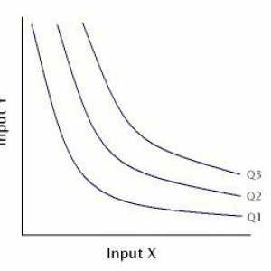 Isoquanta je indikativni grafikon