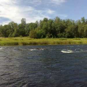 Proučavamo rijeke Leningradske regije: Narva, Luga, Dolgaya, Svir, Okhta