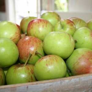 Jabuka Orlik: veličanstveni plod s prekrasnom aromom