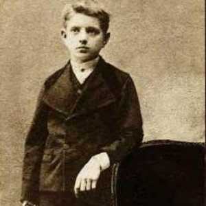 Jan Sibelius: biografija, djela. Koliko je simfonija pisalo skladatelj?