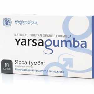 "Yarsagumba": recenzije. `Yarsagumba`: upute za uporabu, cijena