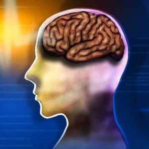 Učinkoviti lijekovi za poboljšanje funkcije mozga i pamćenja