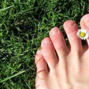 Učinkoviti jeftini lijekovi za gljivice noktiju na nogama. Pregled, popis i recenzije