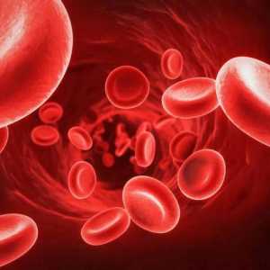 Učinkovite tablete za povećanje hemoglobina