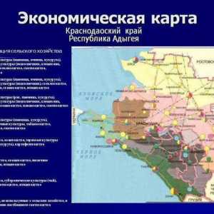 Gospodarstvo Krasnodarske regije: glavne sfere