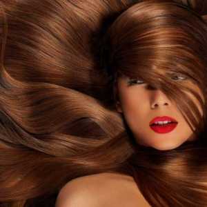 `Expert hair` (šampon) - recenzije. "Stručna kosa" iz…