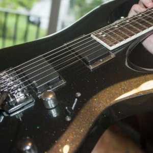 Electric Guitar Cort: pregled, modeli, specifikacije i recenzije