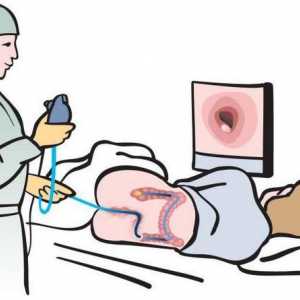 Endoskopija crijeva: što je to, opis postupka, indikacije, priprema
