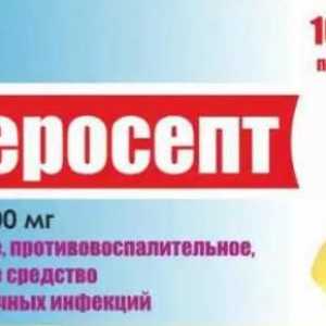 "Enterosept": upute za uporabu, indikacije. Lijekovi za proljev u odraslih osoba