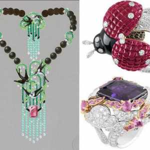 Modni nakit: značajke, trendovi, modeli, proizvođači i povratne informacije