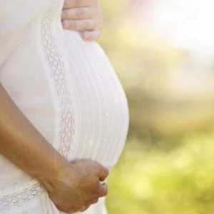 Što sanjaju trudna sestra? Tumačenje sna