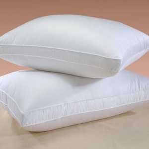Što jastuk sanja o krevetu s jastucima? Što izgleda pero jastuka?