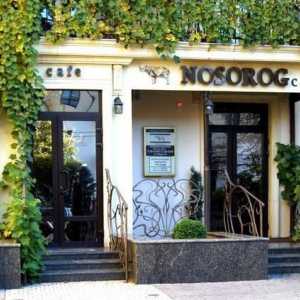 Cafe `Rhinoceros` Volgograd: Adresa i recenzije