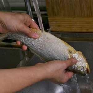 Koliko brzo mogu očistiti ribu od vage? Nož za čišćenje ribe