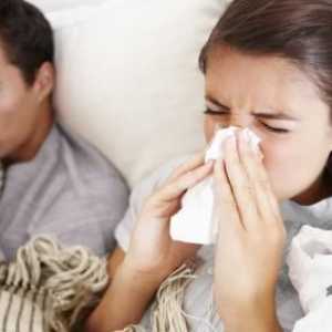 Kako brzo liječiti gripe kod kuće? Folk lijekovi. liječenje