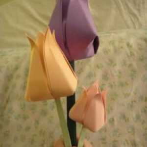 Kako napraviti tulipan papira: naša majstorska klasa će nam reći