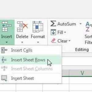 Kako dodati redak u Excel: preporuke, primjeri